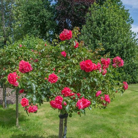 Landurlaub Regenholz Daire Kronsgaard Dış mekan fotoğraf